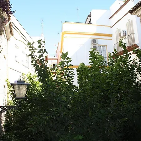 Apartamento Las Flores Penzion *