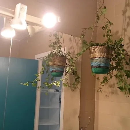 Penzion Apartamento Las Flores *